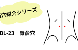 腰のツボ”腎兪”について紹介